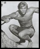 Denny Miller as Tarzan