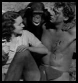Tarzan, Jane & Cheetah