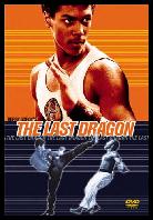 The Last Dragon