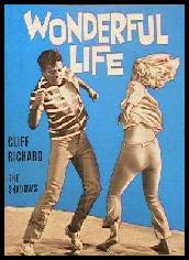 Wonderful Life Movie Poster