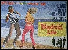 Wonderful Life Movie Poster